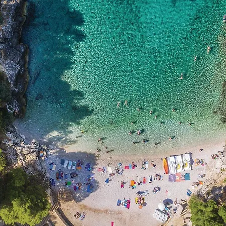 Beautiful In With Wifi Apartment